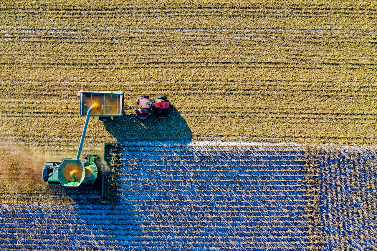 Agriculture & Food